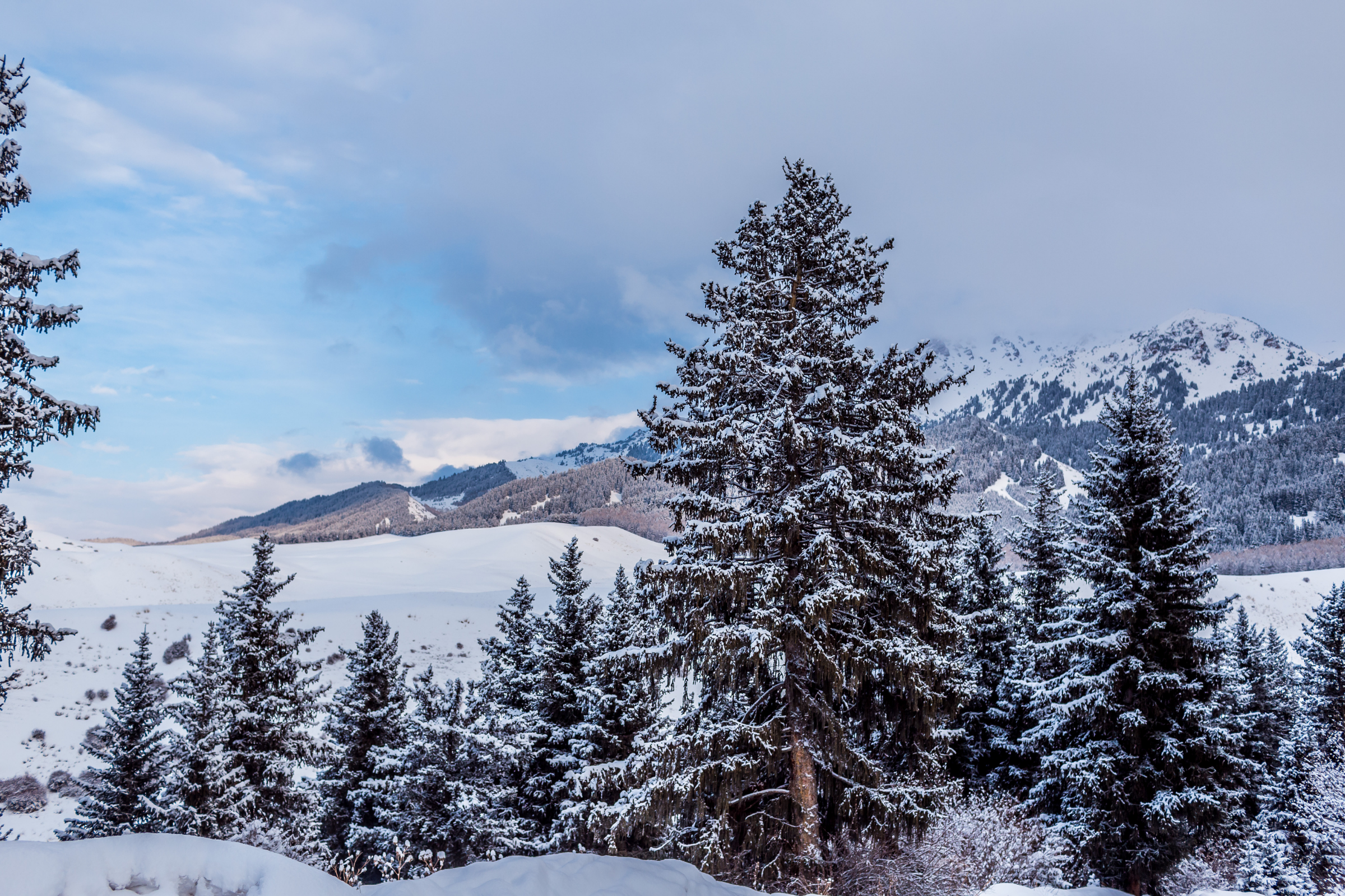 karakol (4).webp